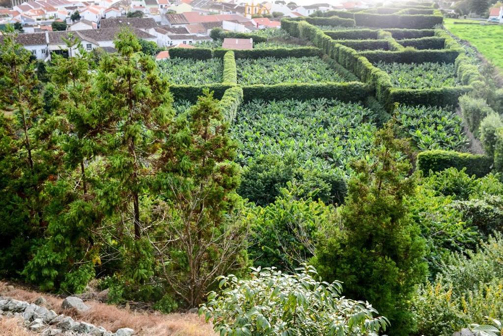 Quinta Amaro Al Hotel Angra do Heroísmo Kültér fotó