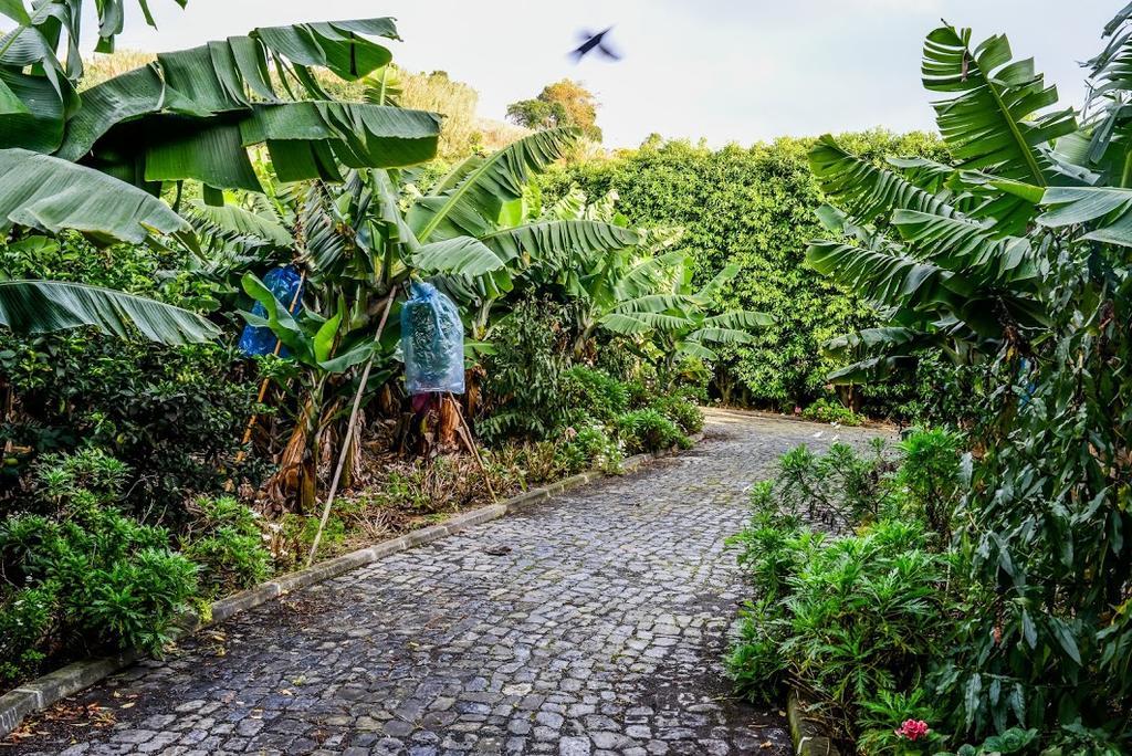 Quinta Amaro Al Hotel Angra do Heroísmo Kültér fotó